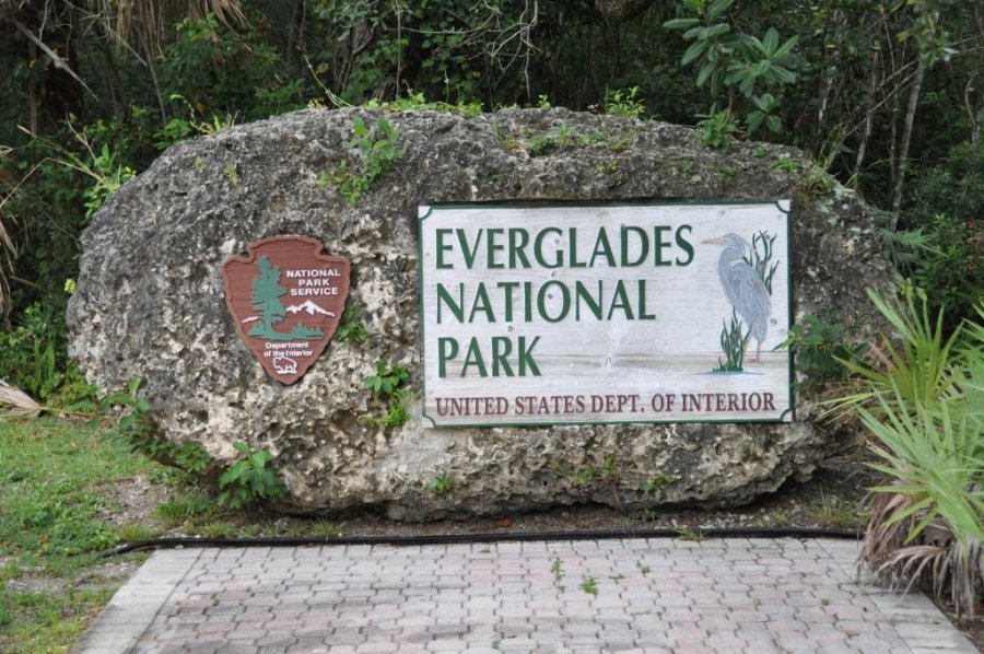 Национальный парк Эверглейдс